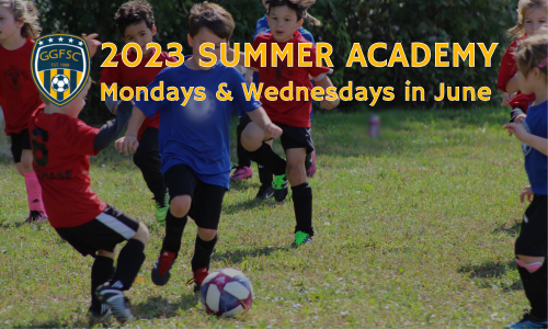 2023 Summer Academy Program